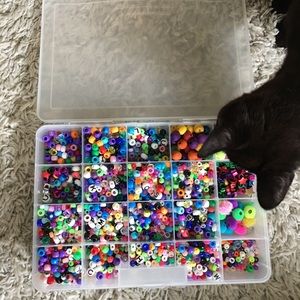 Beads assortment plastic organizer included